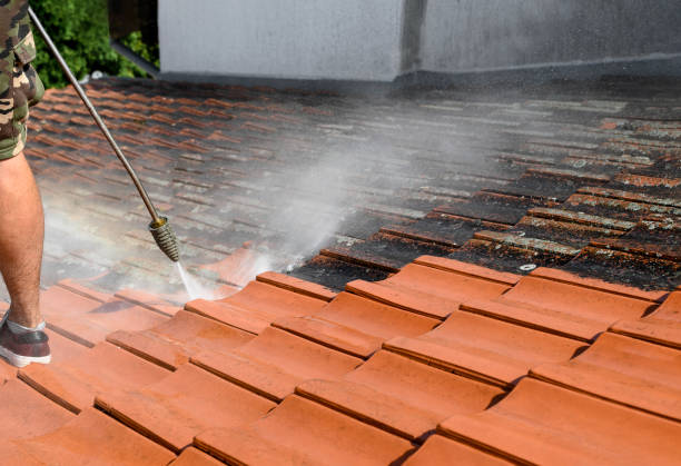 Best Best Pressure Washing Companies  in Shinnecock Hills, NY